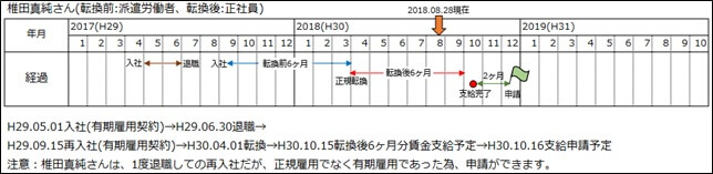 椎田真純さんの助成金申請までの予定カレンダー