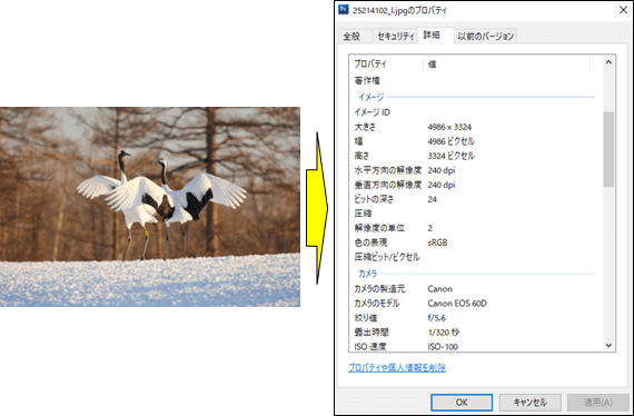 画像のプロパティ詳細