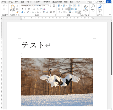 画像を挿入したWord