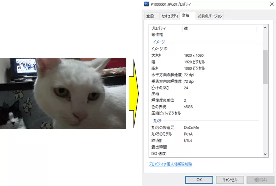 画像のプロパティ詳細