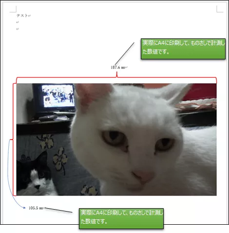 Wordに挿入した画像の実寸