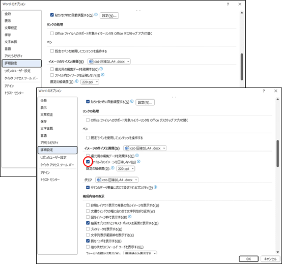 Wordのオプション詳細設定