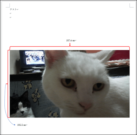 Wordに挿入した画像の実寸